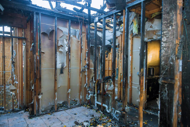 Professional Fire Damage Removal technician working in Cayce, SC